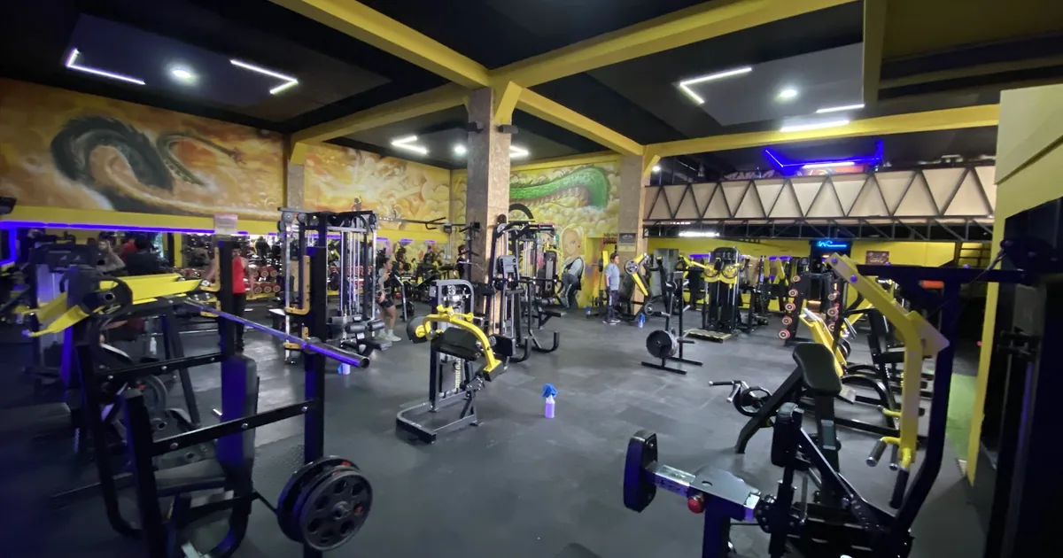 Gimnasio Live Fit Castillos