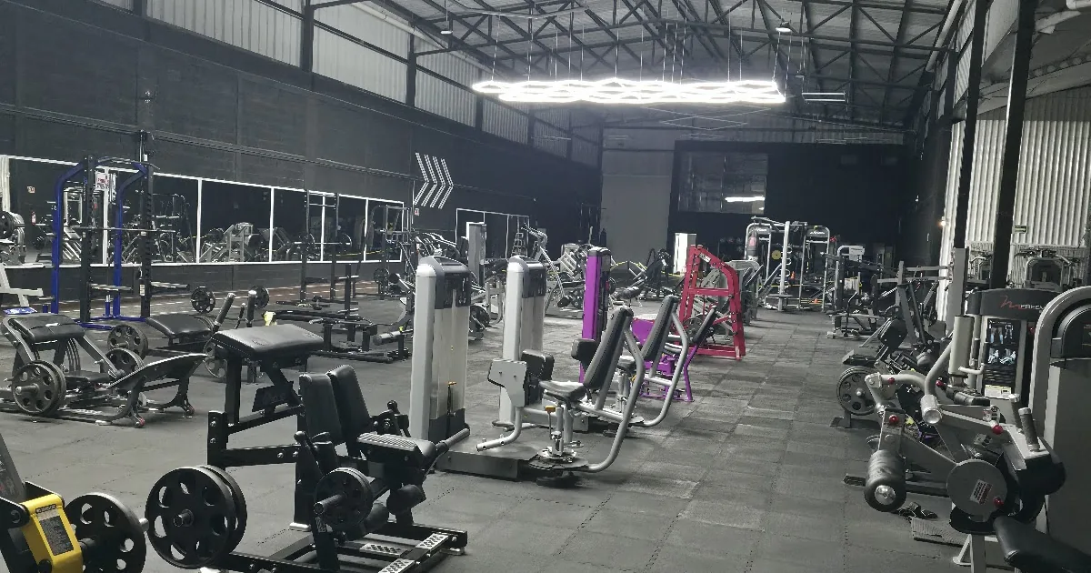 Gym Insport