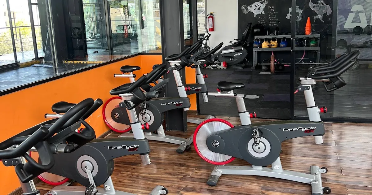 Anytime Fitness Leon Campestre