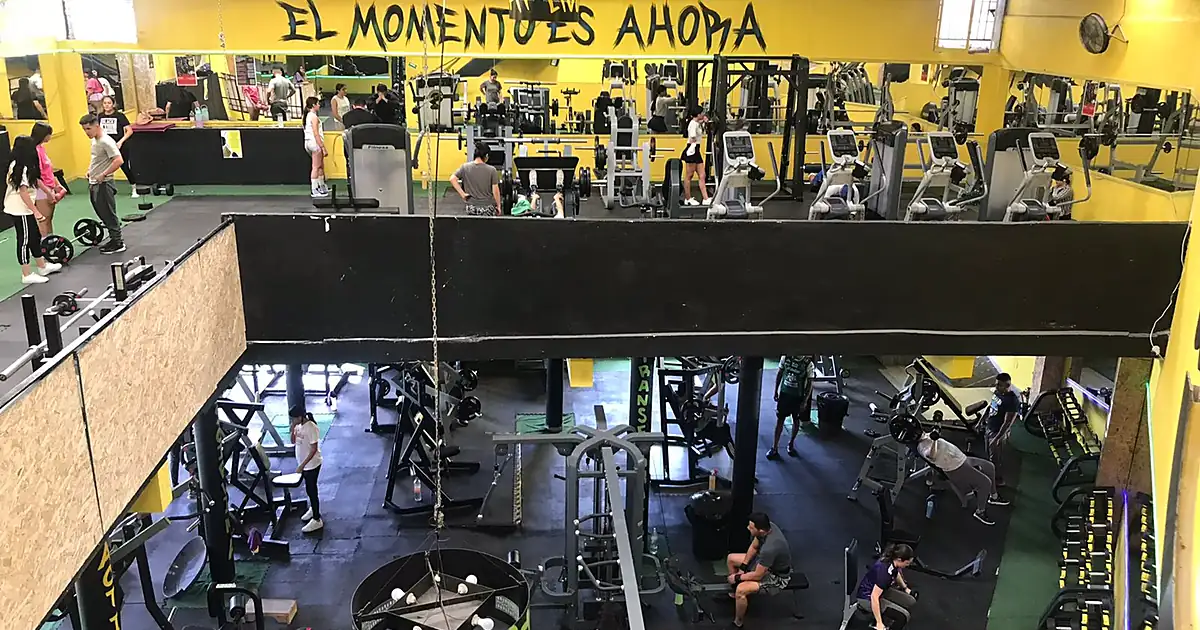 Gimnasio Live Fit Parque Hidalgo