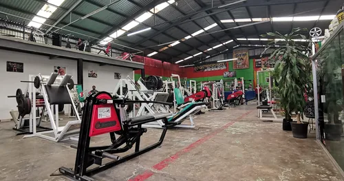 Gym Fuerza Y Salud, gimnasio en Silao, Guanajuato