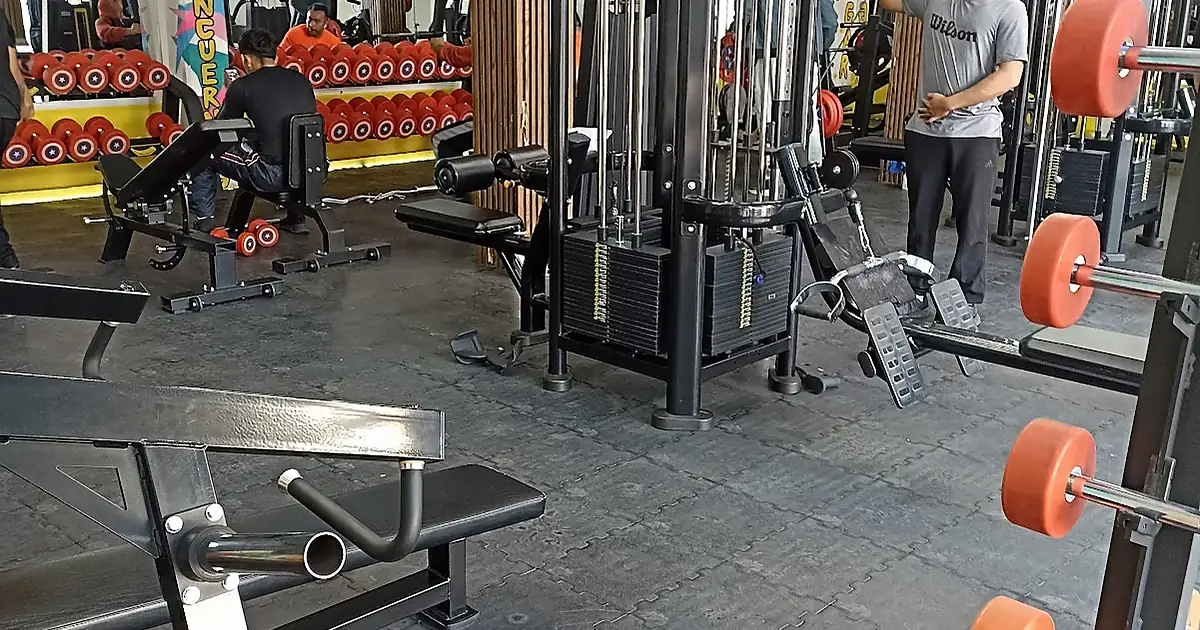 GIMNASIO LIVE FIT SILAO