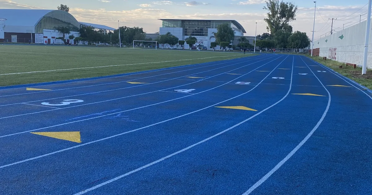Polideportivo Los Eucaliptos