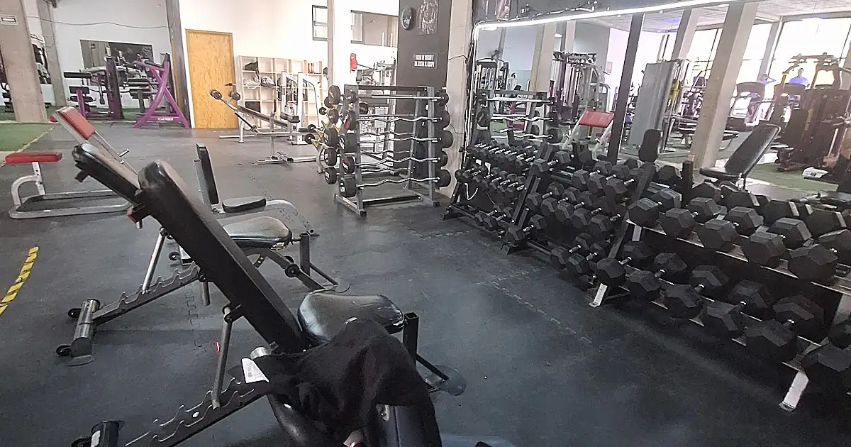 Aesthetic fitness
