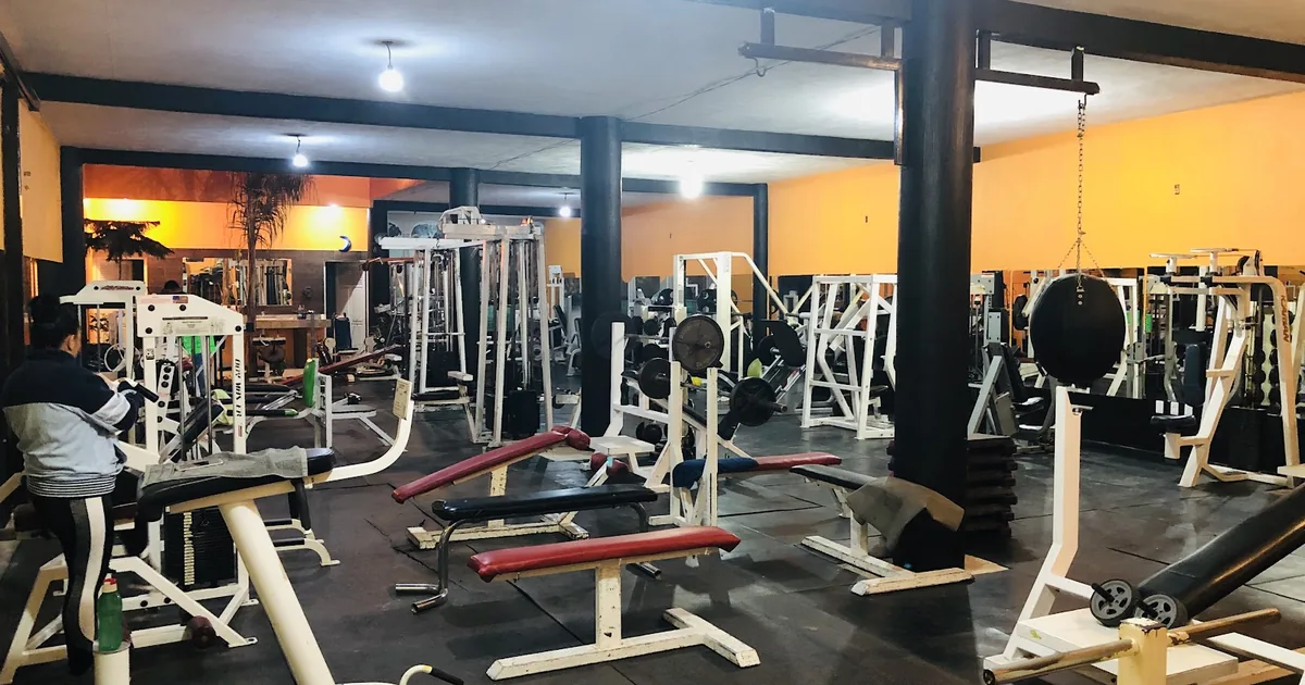 POWER GYM