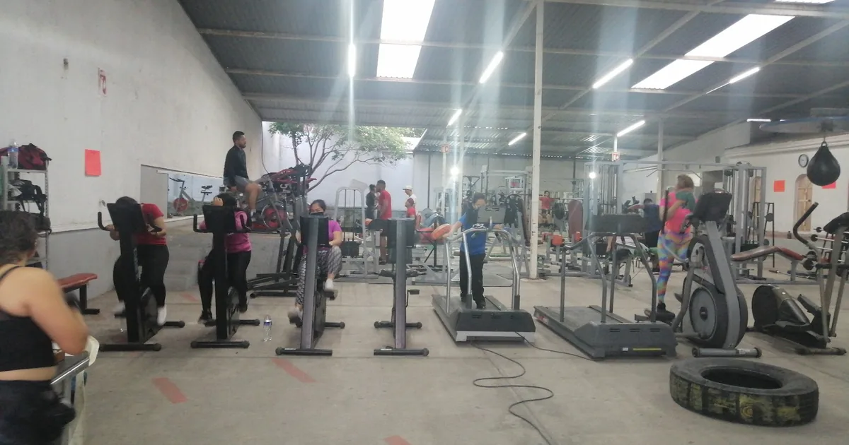 TAURUS GYM