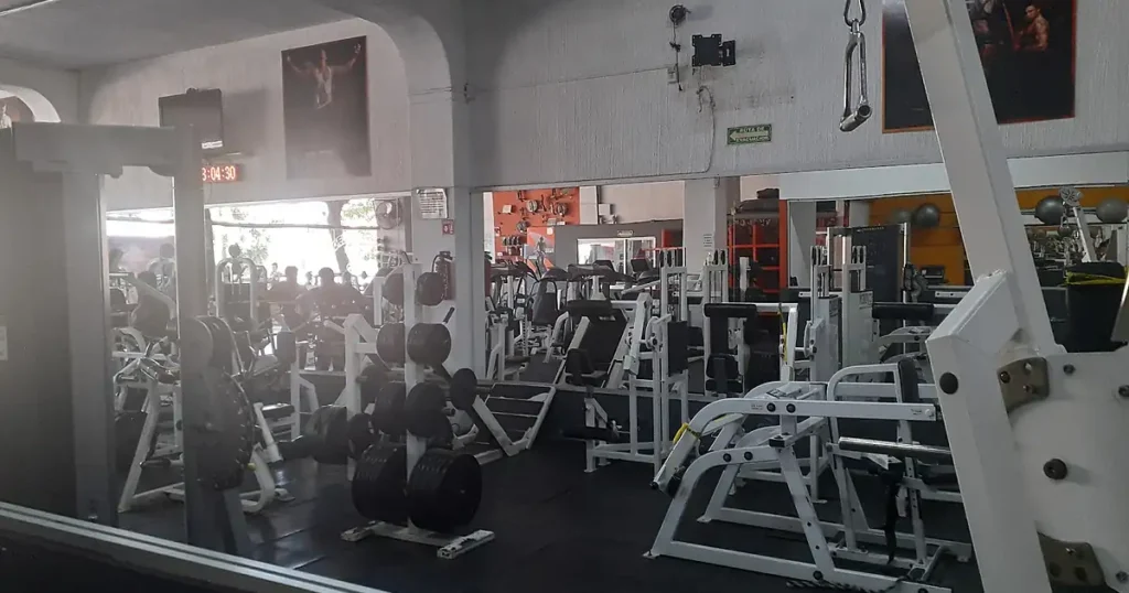 Heavy Duty Gym