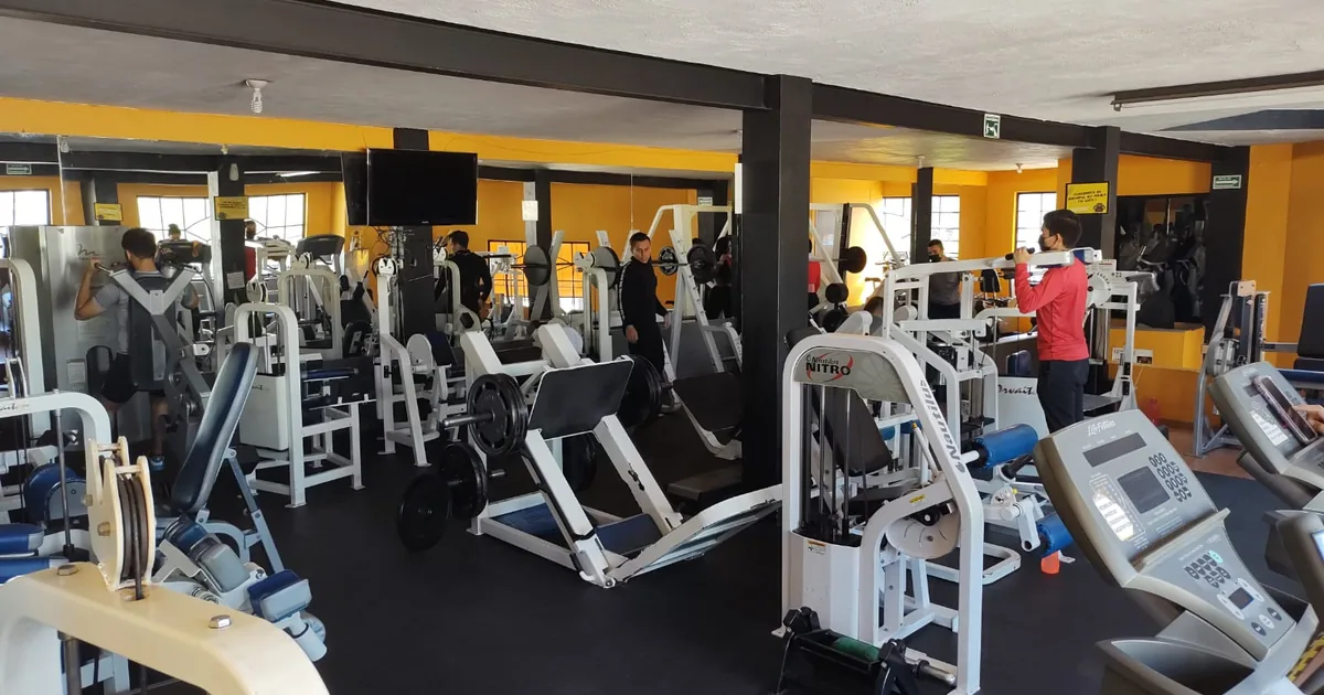 Grizzly Gym