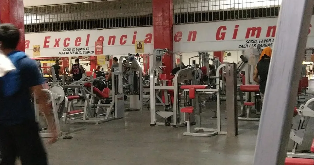 Lion’s Gym