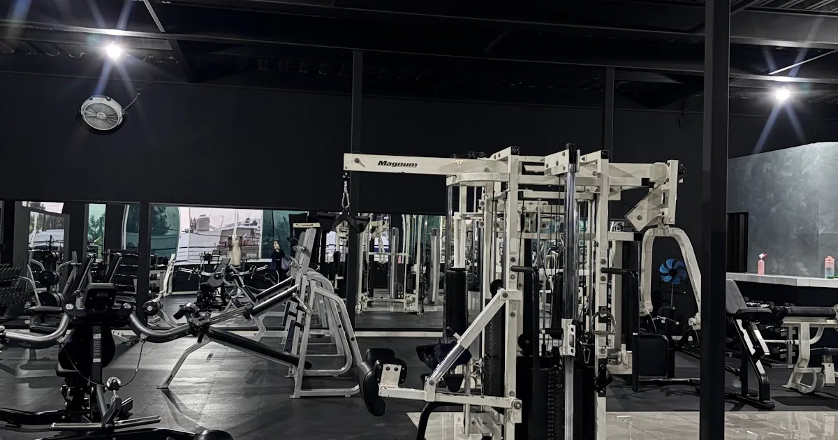 Gym We Fitness