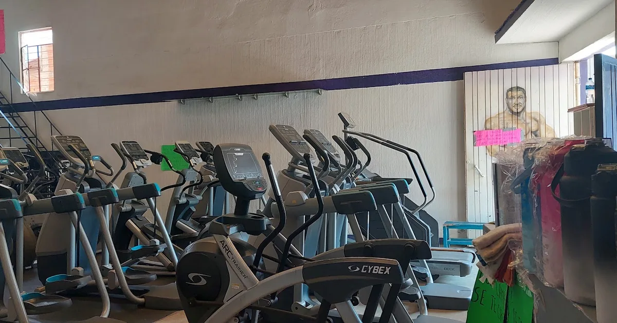 VIRGO GYM