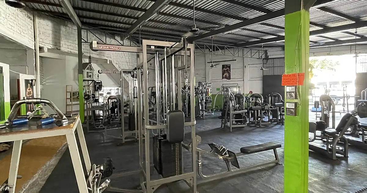 BodyGym Vallarta 2