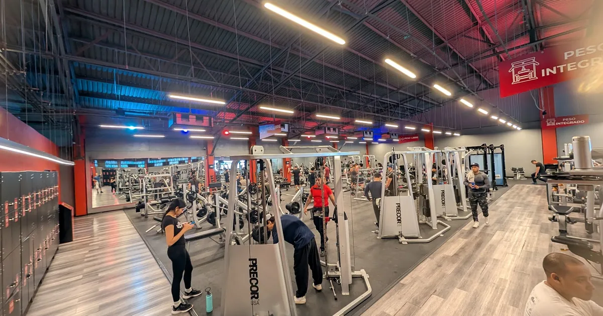 Gym Wreck