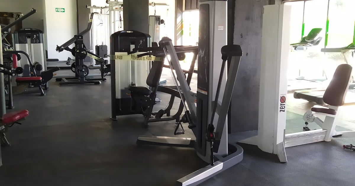 Life Gym Adamar