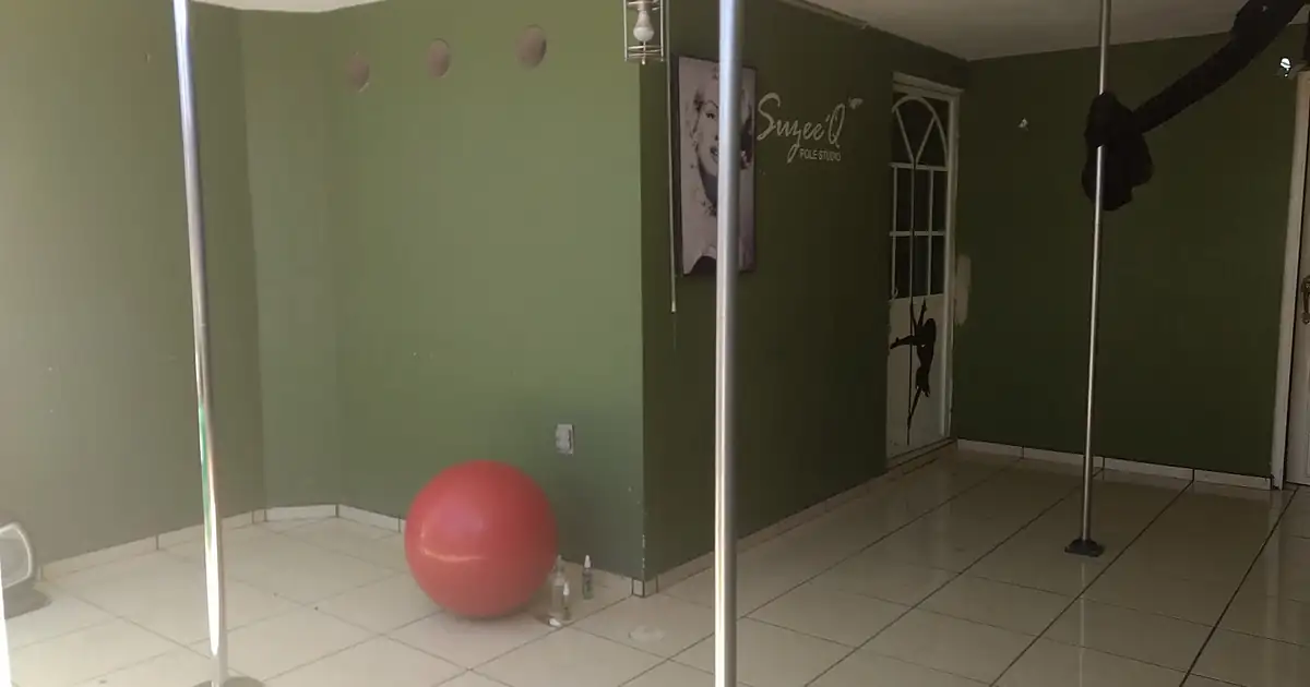 SuzeeQ’pole Studio