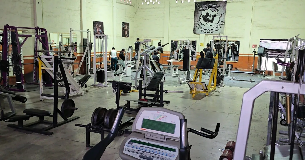 Steel Fitness Extrem Gym