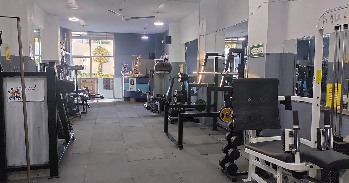 Javi’s Gym