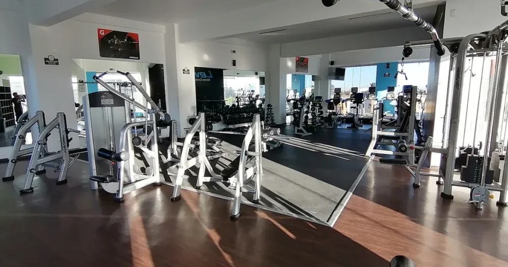 Levy Fit