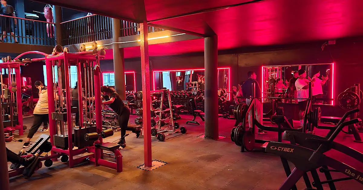 Body gym & box