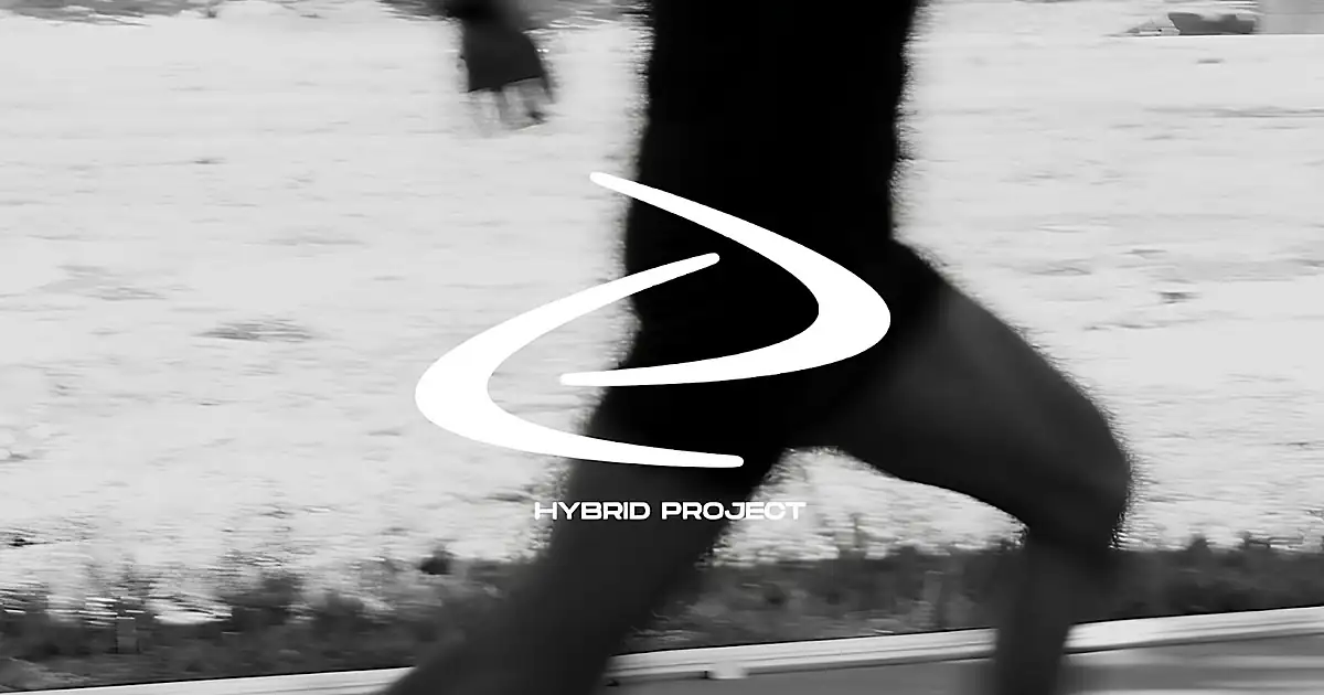Hybrid Project