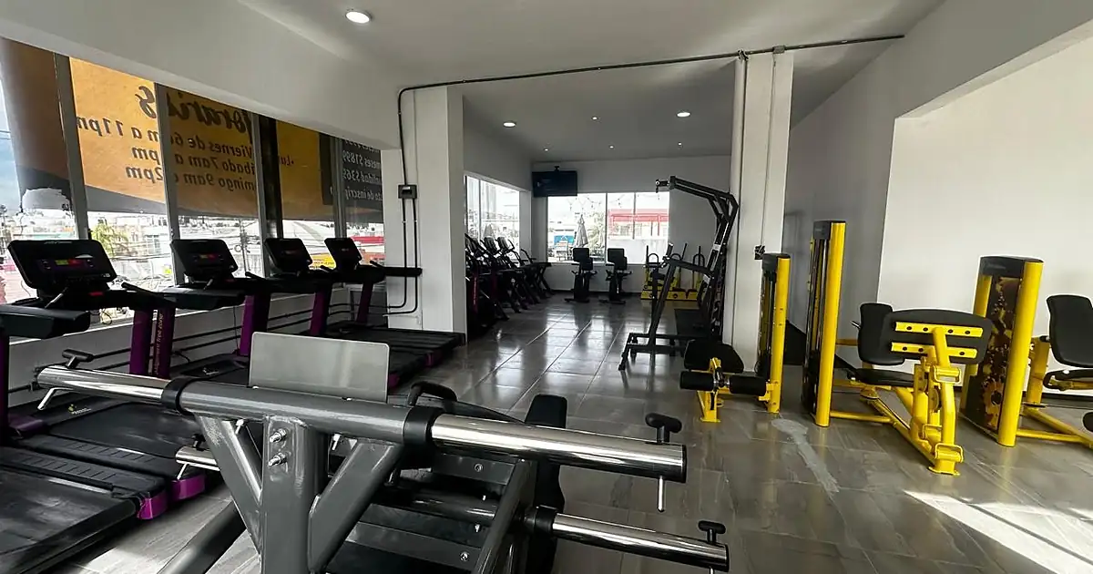 ALPHA GYM CLUB