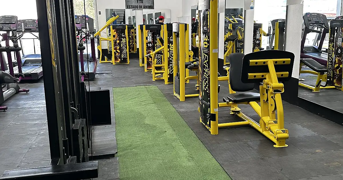 MY GYM