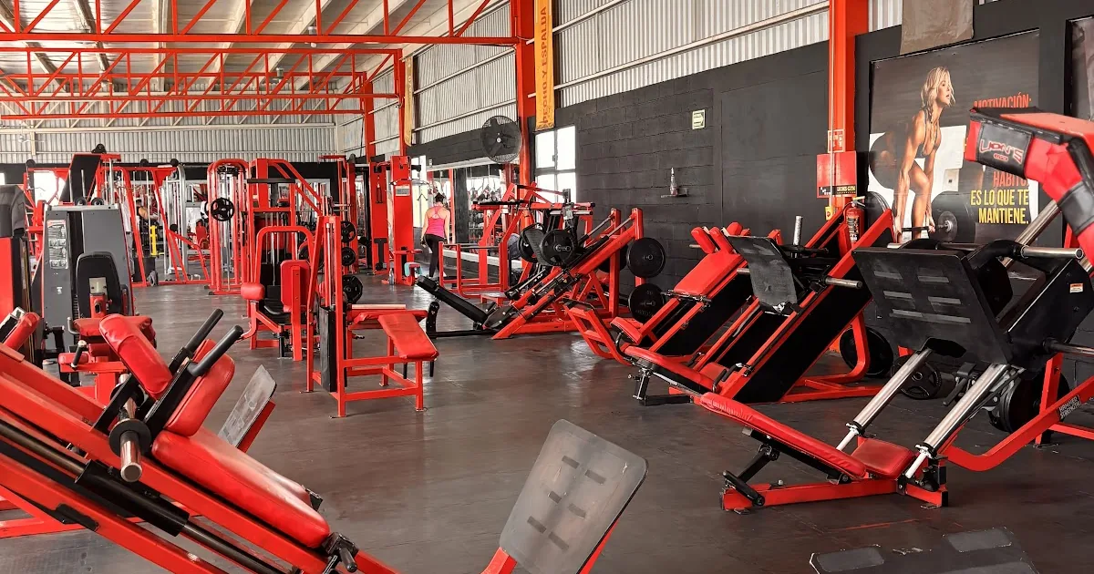 Rhino’s Fitness Gym
