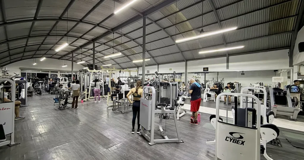 MUSCLE GYM TONALA