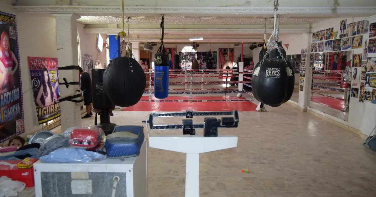 GYM PITBULL