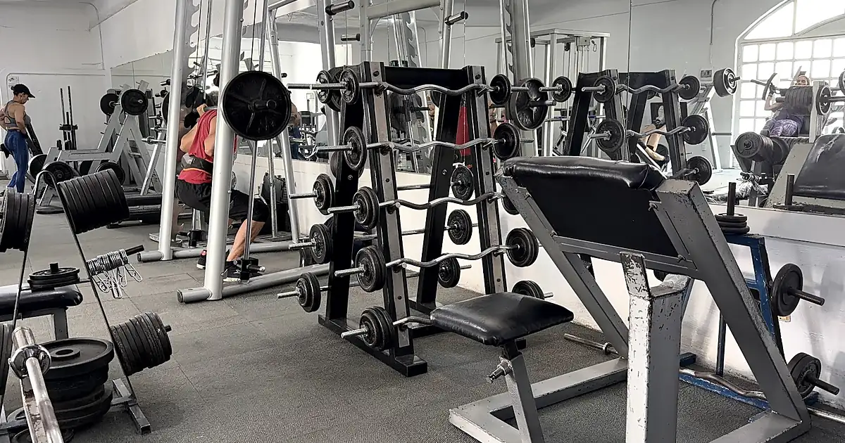 Vive Fitness Gym