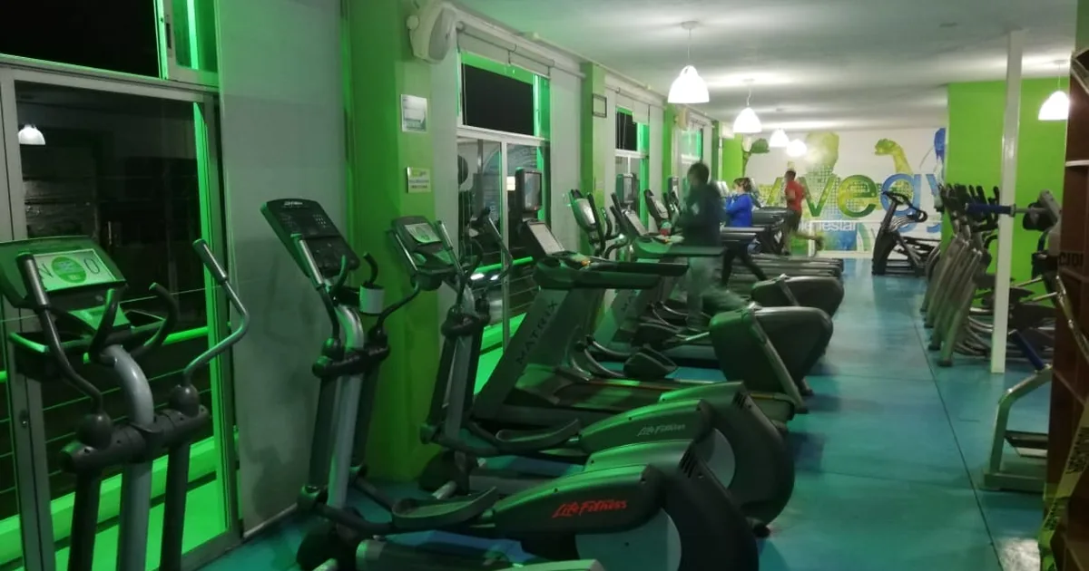 Gimnasio Vive Gym
