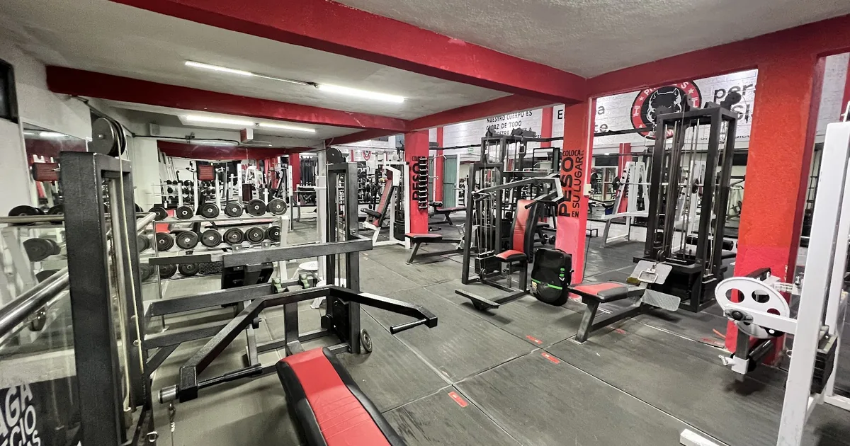 Pitbull’s Gym Atenco