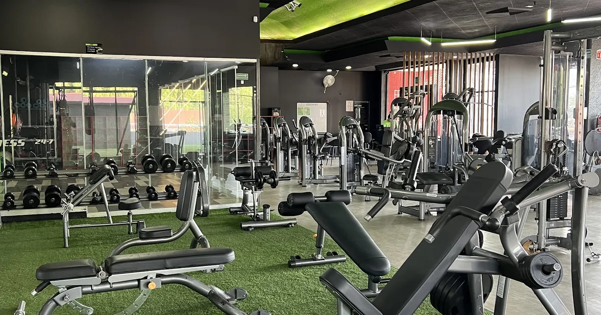 Fit24 Alamedas