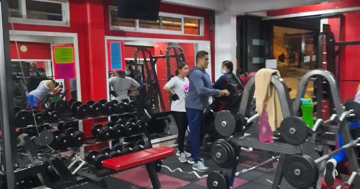 Elite Brother’s Gym