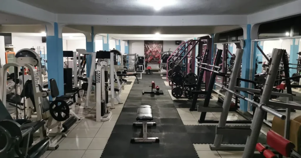 Muscle Fitness Gym