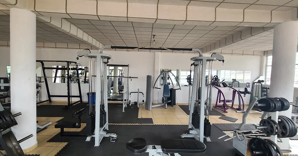 Terrier’s Gym