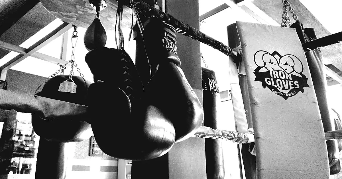 Iron Gloves Cardio-Boxing