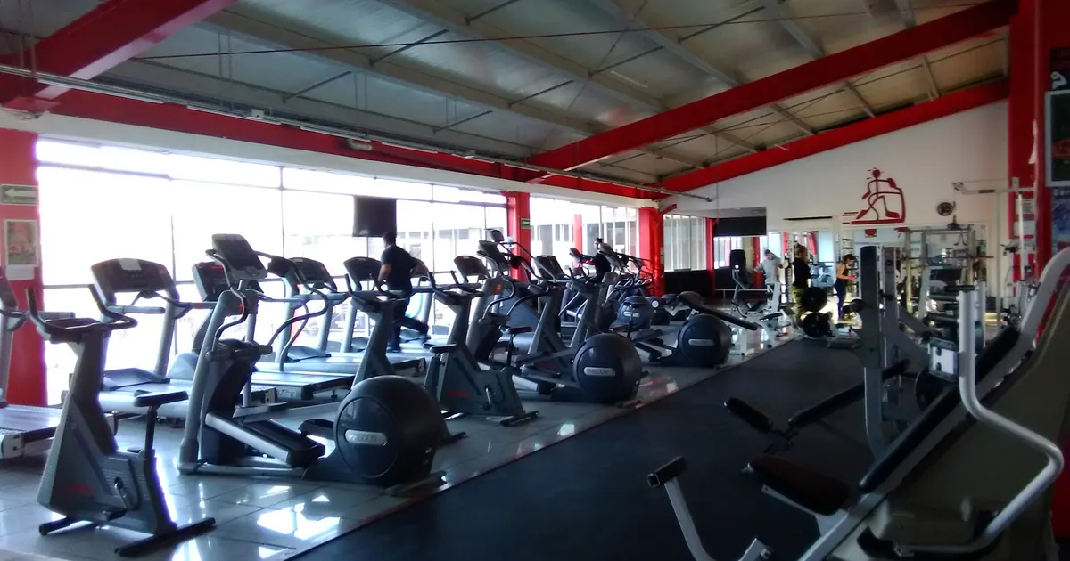 Workout