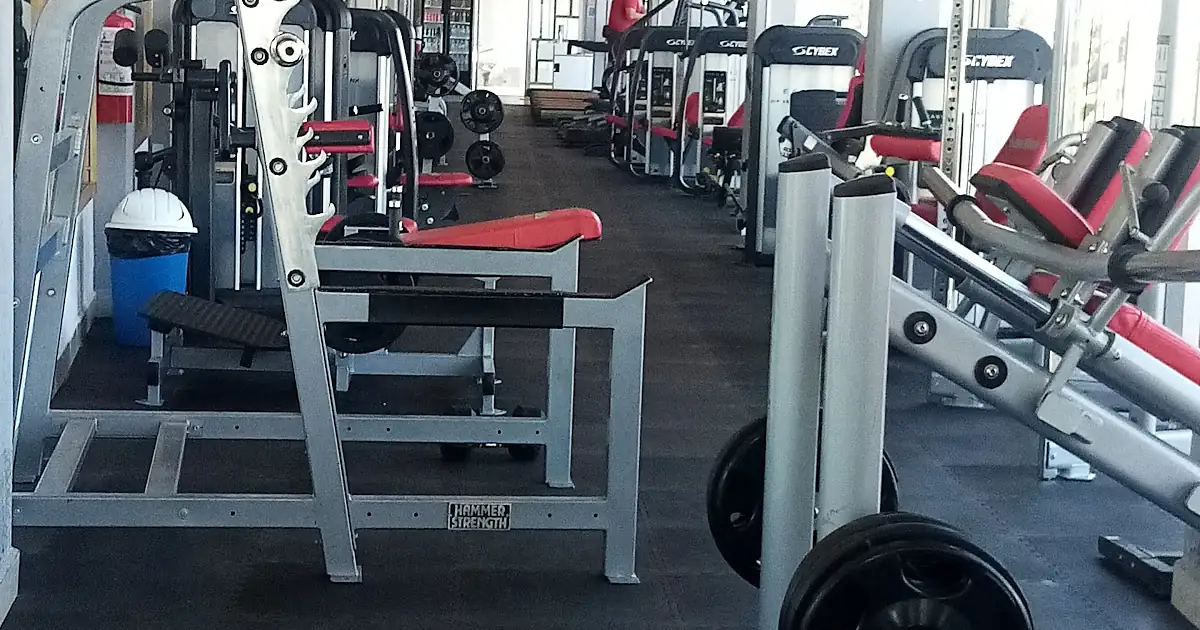 SmartMuscle
