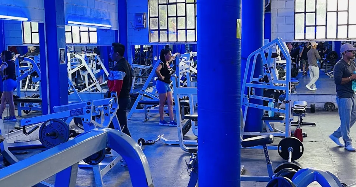 Gym Fuerza Fitness