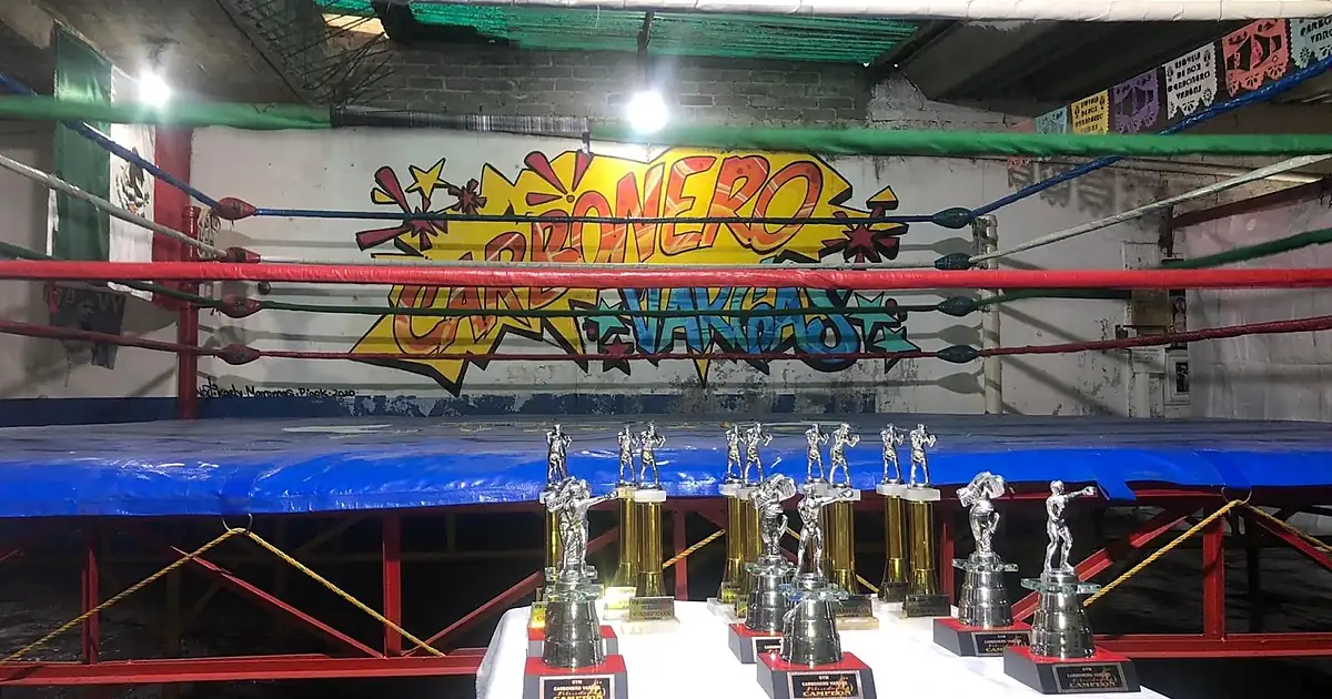 Escuela De Box Carbonero Vargas