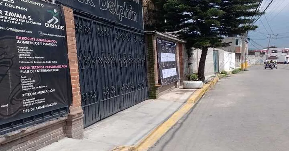 Black Dolphin CAF