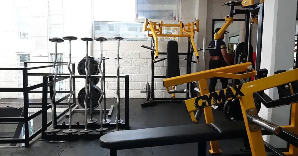Under Gym