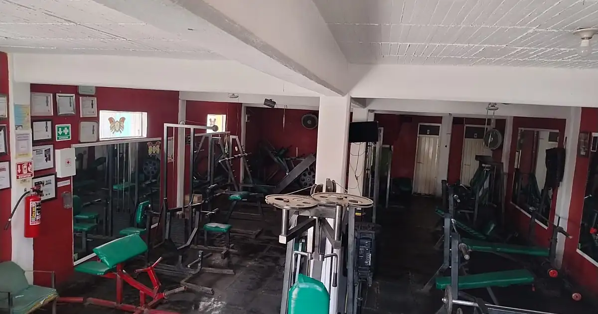 MG Gym evolution