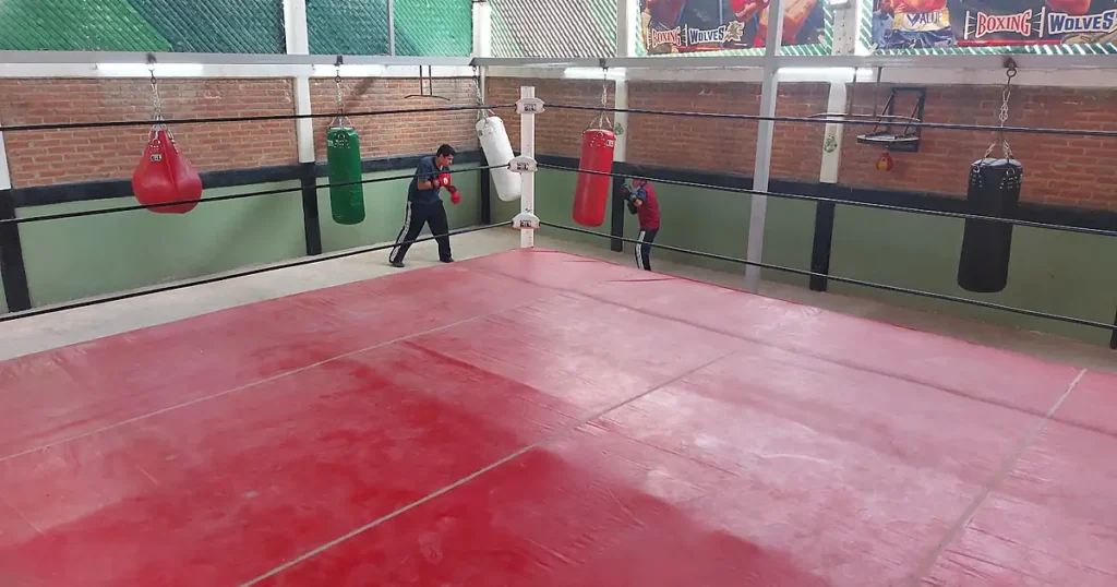 Gimnasio de BOX (Boxing wolves)