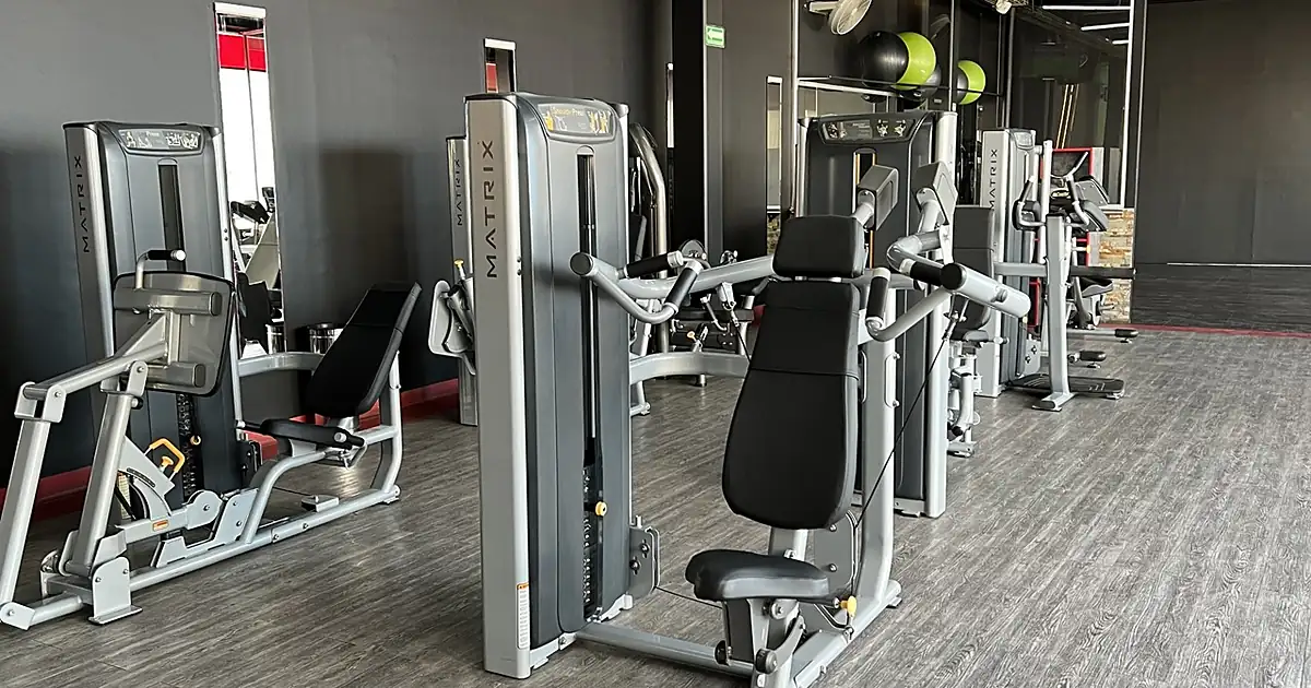 Fit24 Izcalli