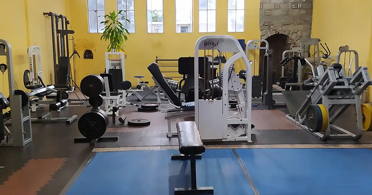 Cactus GYM