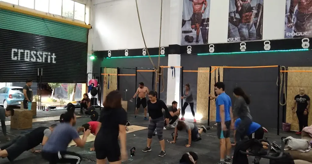 Lion Crossfitness Izcalli