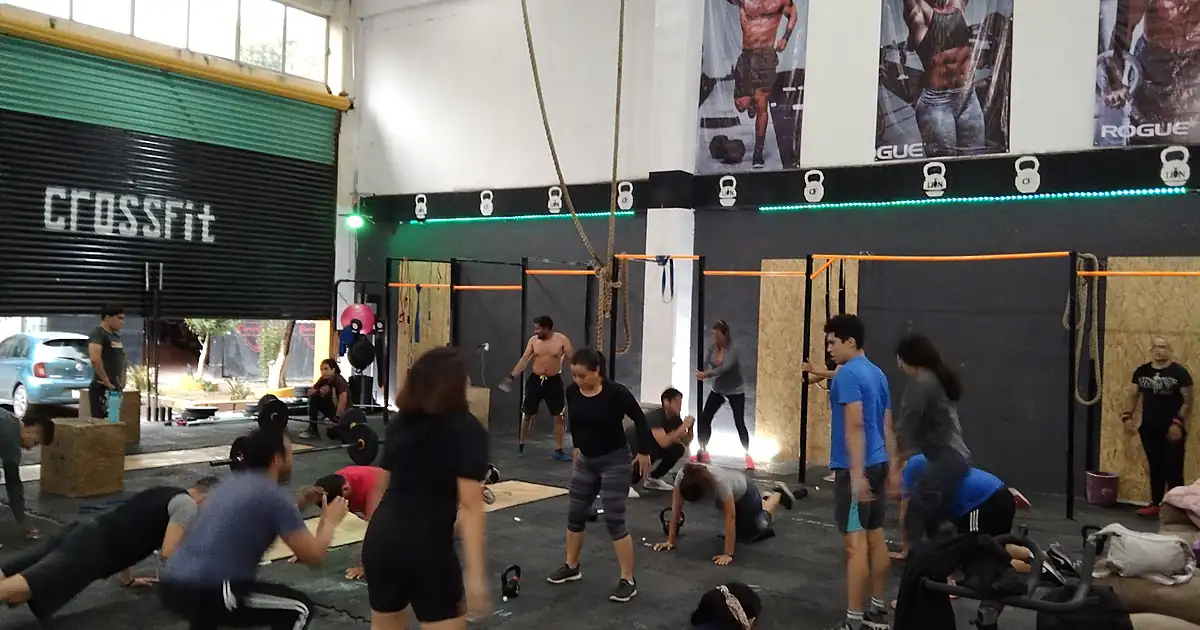 Lion Crossfitness Izcalli