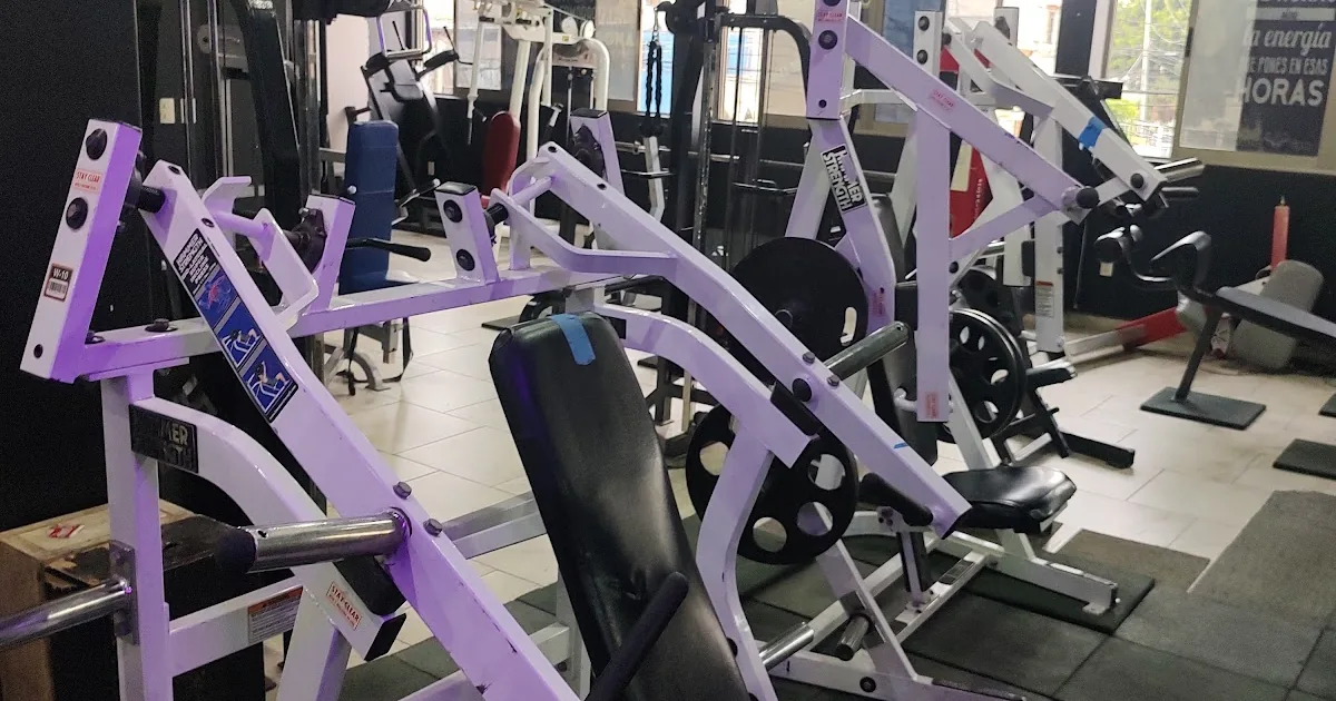 Master Gym